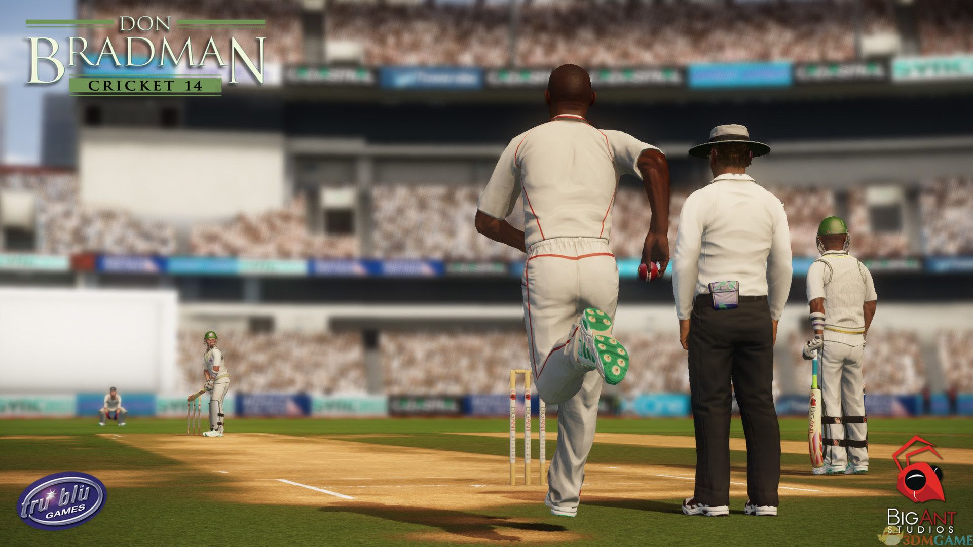 《唐纳德布莱德曼板球14》英文免安装版 游戏截图 2